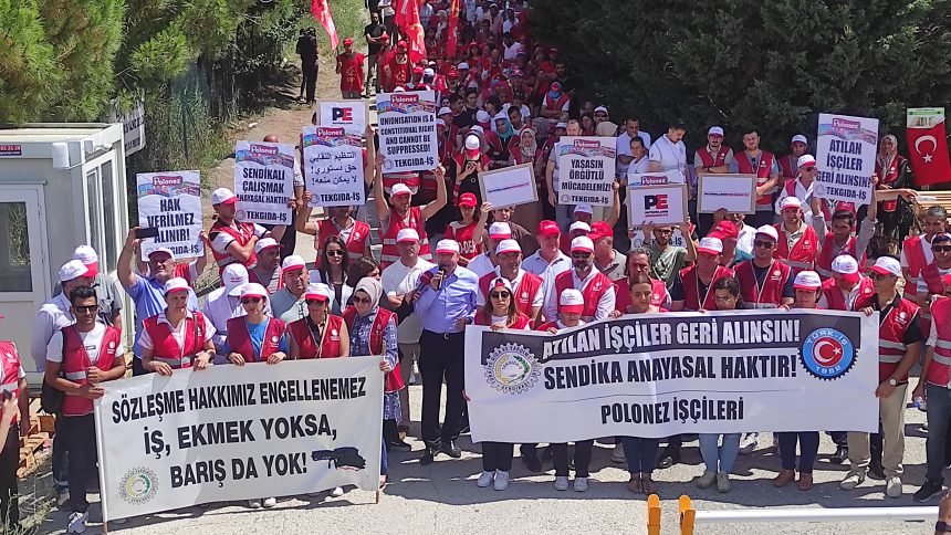 Polonez’de işçi kıyımı: 100’den fazla işçi işten atıldı